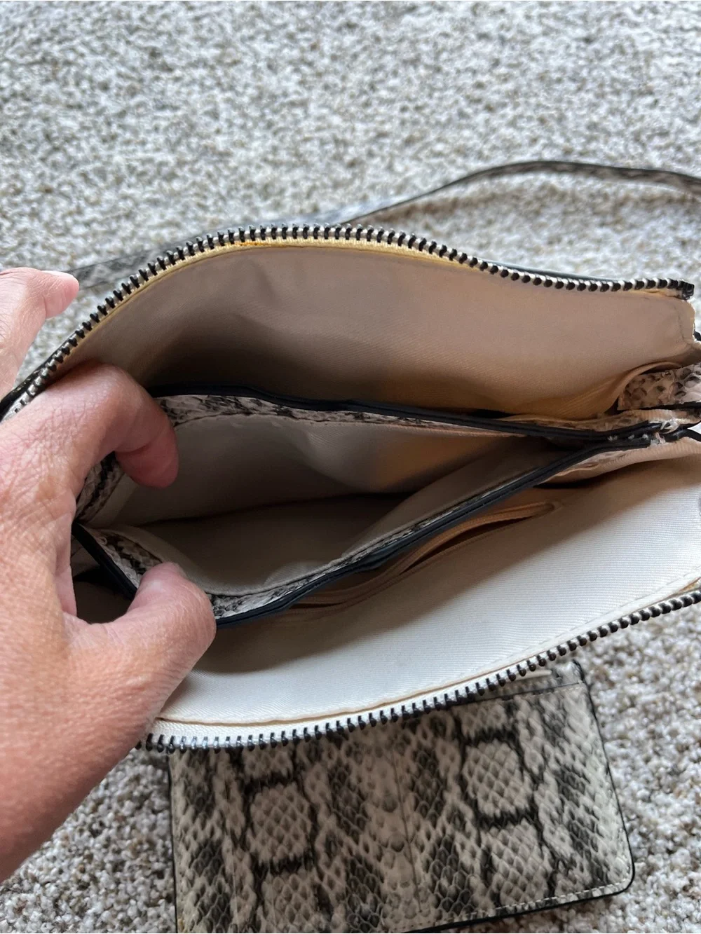 A New Day Snake-Print Crossbody Bag with Matching Card Holder